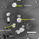 Una micrografía de electrones de minerales en la muestra de roca que indica un origen extraterrestre